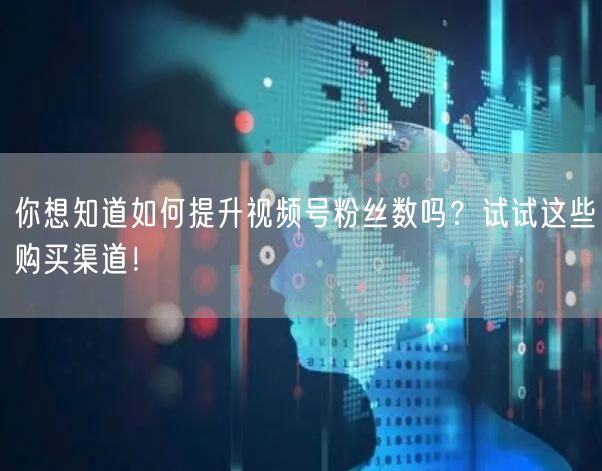 你想知道如何提升视频号粉丝数吗?试试这些购买渠道!
