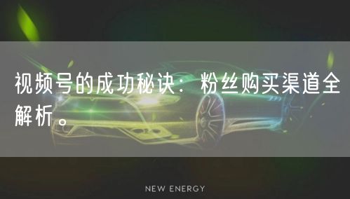 视频号的成功秘诀:粉丝购买渠道全解析。