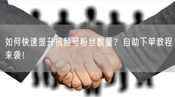 如何快速提升视频号粉丝数量?自助下单教程来袭!