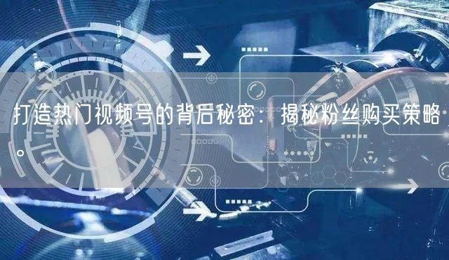 打造热门视频号的背后秘密：揭秘粉丝购买策略。