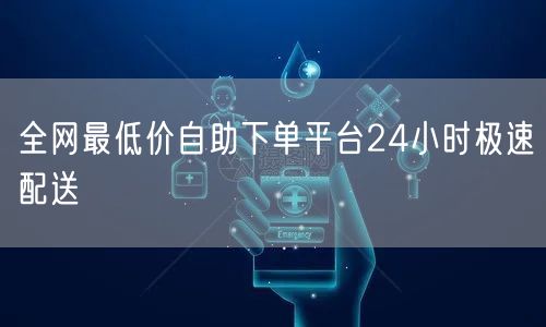 全网最低价自助下单平台24小时极速配送