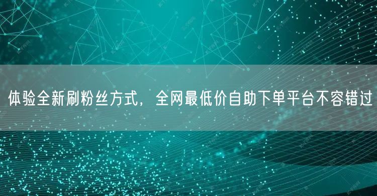 体验全新刷粉丝方式,全网最低价自助下单平台不容错过
