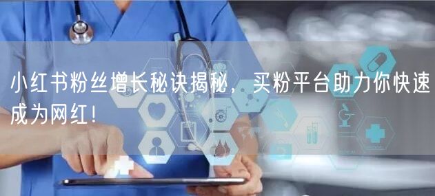 小红书粉丝增长秘诀揭秘,买粉平台助力你快速成为网红!