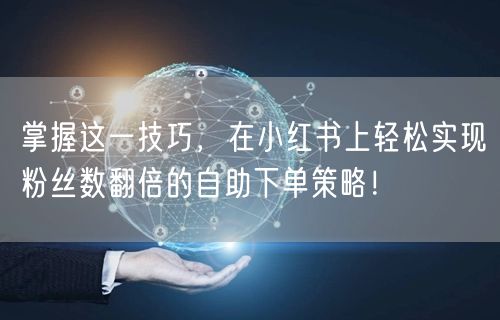 掌握这一技巧,在小红书上轻松实现粉丝数翻倍的自助下单策略!