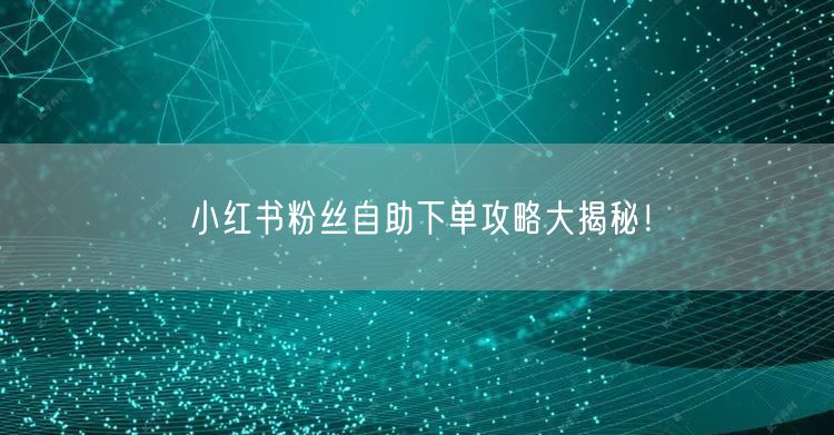 小红书粉丝自助下单攻略大揭秘!