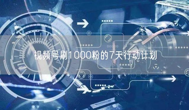 视频号刷1000粉的7天行动计划
