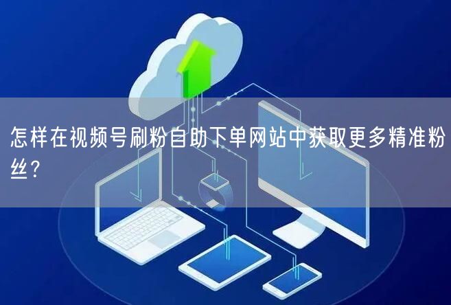 怎样在视频号刷粉自助下单网站中获取更多精准粉丝？
