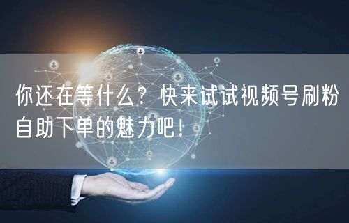 你还在等什么？快来试试视频号刷粉自助下单的魅力吧！
