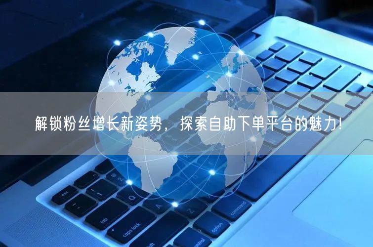 解锁粉丝增长新姿势，探索自助下单平台的魅力！