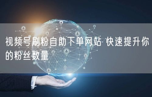 视频号刷粉自助下单网站 快速提升你的粉丝数量