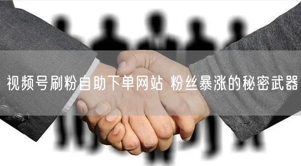 视频号刷粉自助下单网站 粉丝暴涨的秘密武器